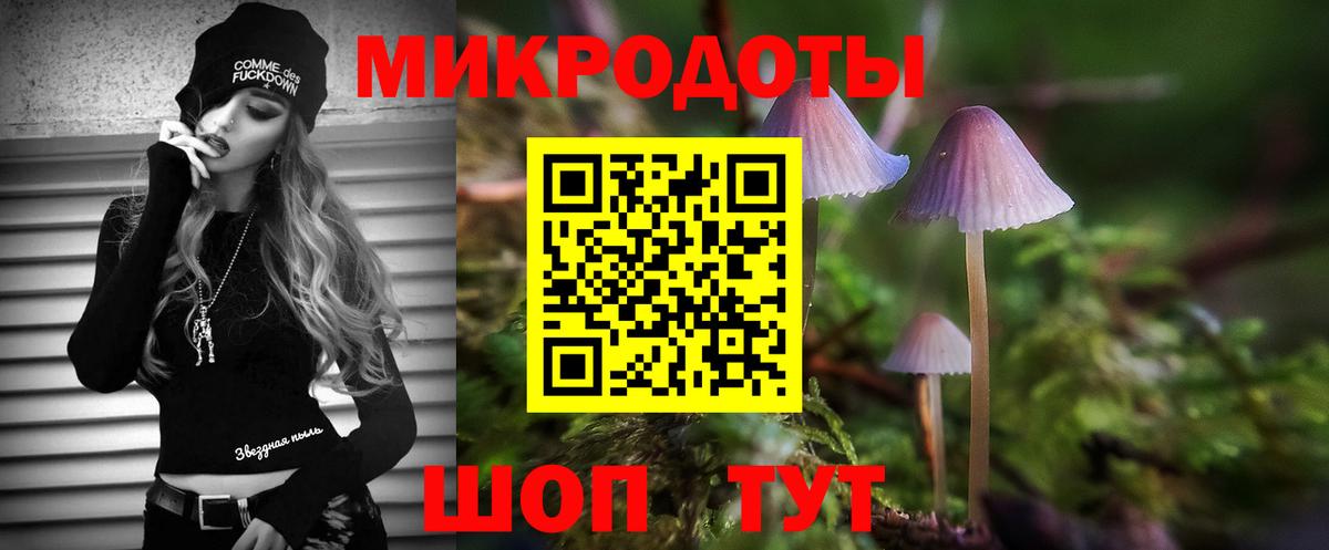 Псилоцибиновые грибы Psilocybine cubensis  Вход с VPN  Ярославль 